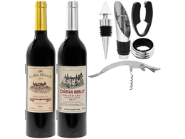 Wine accesory set II (design to choose)