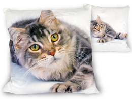 Poduszka z wypełnieniem/suwak - koty (CARMANI)
