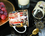 Kubek w puszce - G. Klimt, Medycyna (CARMANI)