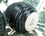 Calabash yerba green-grey