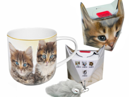 Mug- cat  twins   + box with tail