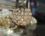Lampion duży