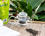 Une petite bouilloire en verre avec un infuseur