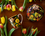 Camio-Becher - Hendrik Reekers, Barockblumen (CARMANI)