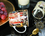 Tasse in einer Dose - G. Klimt, Medizin (CARMANI)