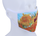 Schutzmaske - V. Van Gogh, Sonnenblumen (Carmani)