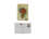 Set of 12 postcards in a decorative folder - V. van Gogh, mix of patterns (CARMANI)