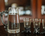 Set of 12 shot glasses and a pitcher (gold)